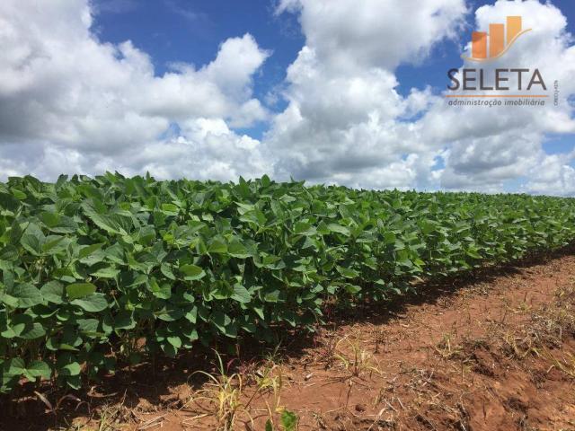 Fazenda à venda, * m² por R$ 125.000.000 - Vila Bom Jardim - Nobres/MT - Foto 3