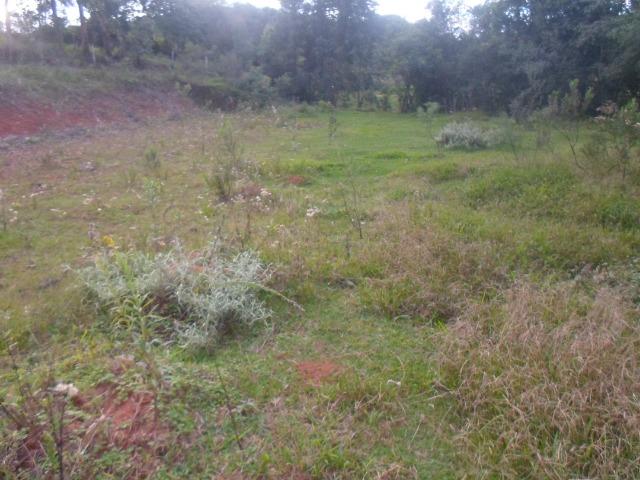 Terreno 6.000 m² - Foto 4