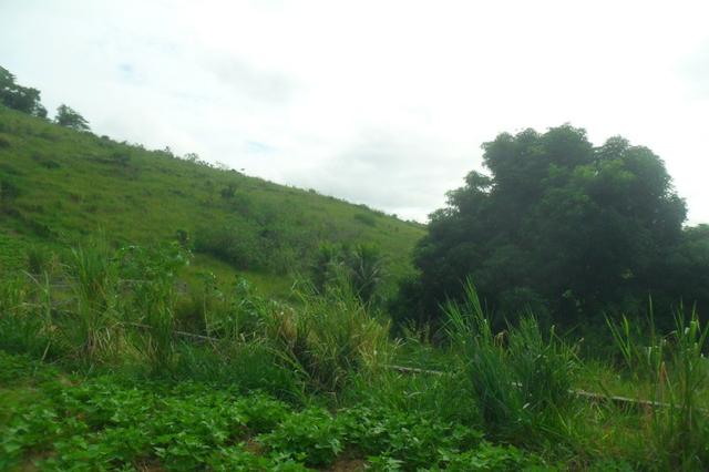 Fazenda 35 alqueires em colatina - Foto 16