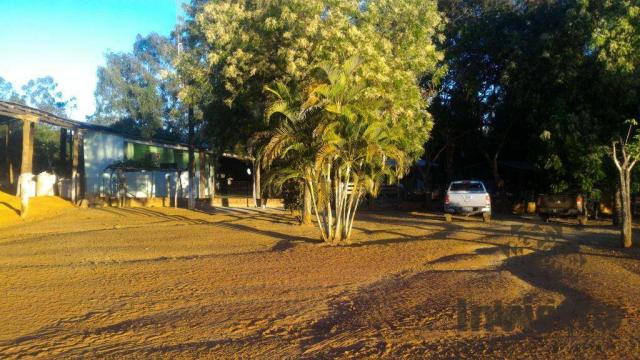 Oportunidade de excelente fazenda para agricultura!!! - Foto 7