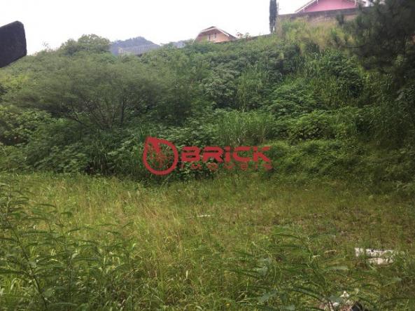Excelente terreno para venda ou locação entre alto e centro. - Foto 3