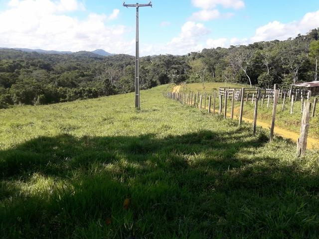 Fazenda em Itacaré - Foto 4