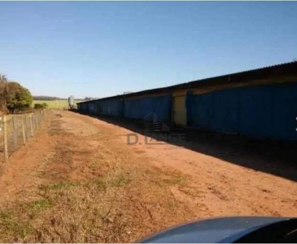 Granja em arealva s/p - Foto 11