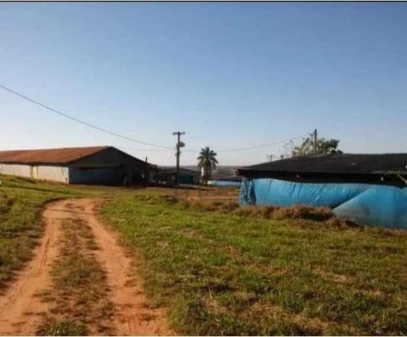 Granja em arealva s/p - Foto 13
