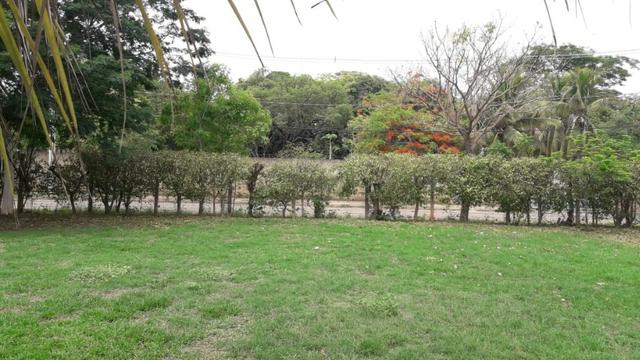 Pirapora-MG - Foto 5