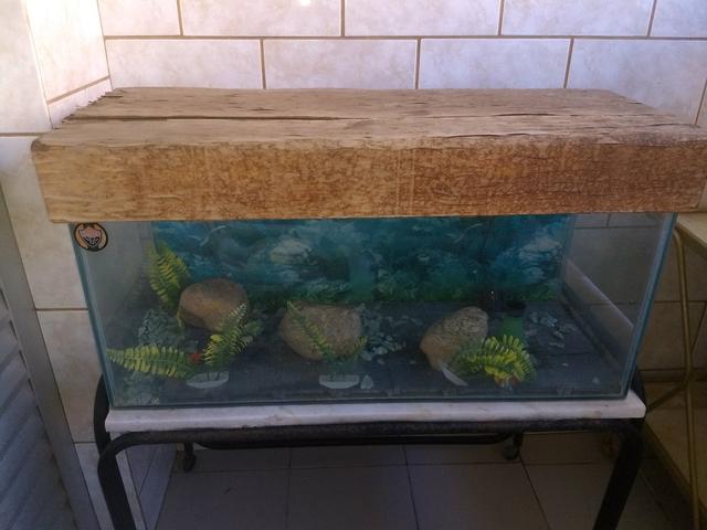 Aquário