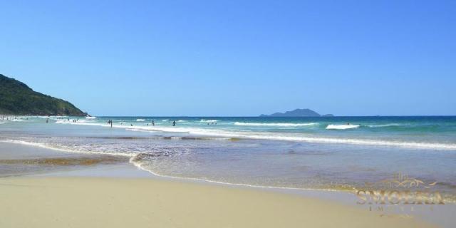 Apartamento à venda com 1 dormitórios em Ingleses, Florianópolis cod:8951 - Foto 5
