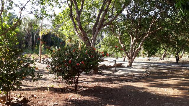 Sitio - Foto 6