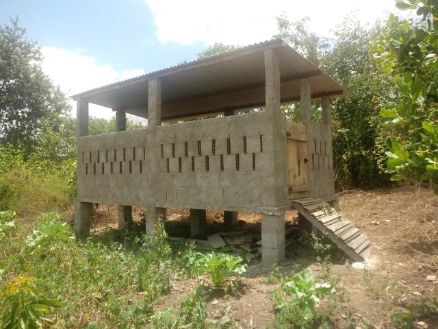 Sítio - Foto 14