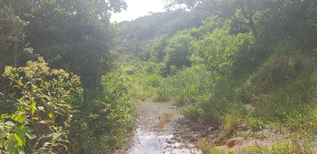 Fazenda 590,48 hectares no Leste de Minas na Região da sudene - Foto 8