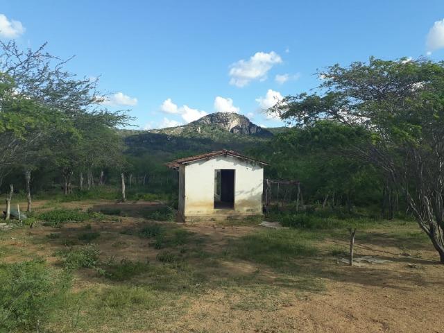 Excelente propriedade de 828 hectares, em Santa Cruz do Capibaribe - Foto 10