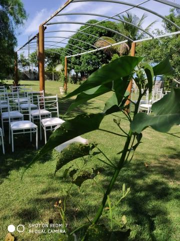 Cerimonial Garden Goddio - Foto 4