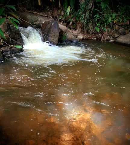 Alugamos Sítio com Cachoeira - Santa Leopoldina - Foto 6