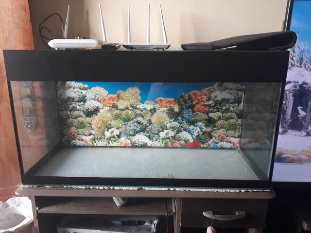Aquário vendo ou troco por algo do meu interesse - Foto 2