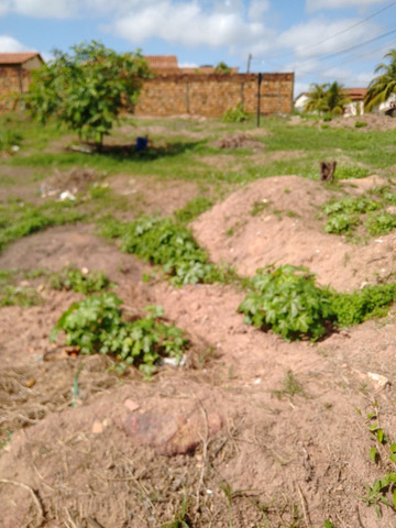 Terreno - Foto 2