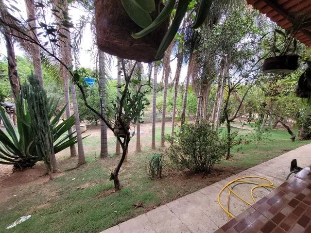 Chácara para Venda em Bela Vista de Goiás, 3 dormitórios, 1 suíte, 2 banheiros, 3 vagas - Foto 4