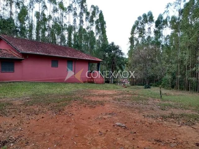 fazenda - Jacutinga - Jacutinga - Foto 4