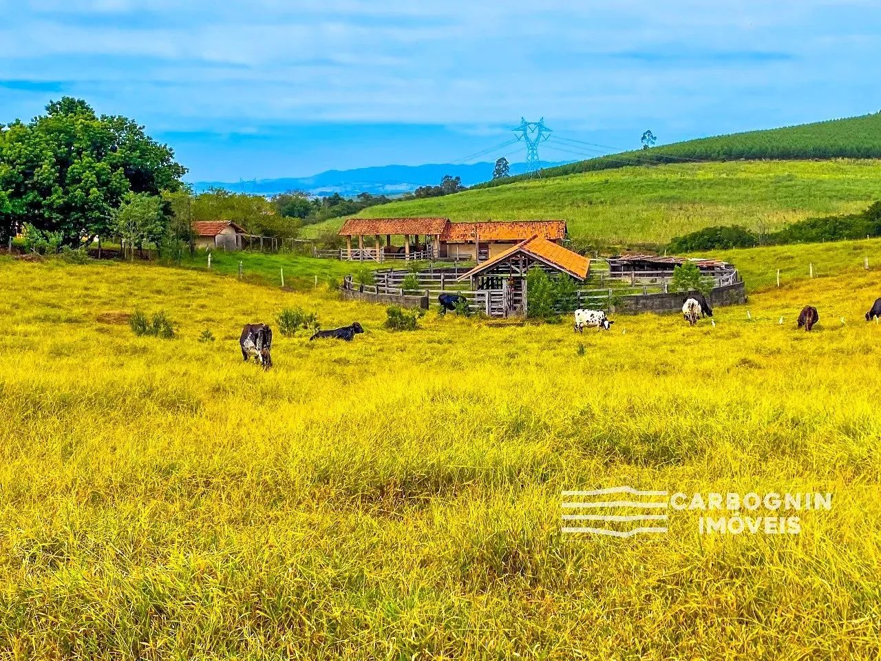 Sítio a Venda no Pedregulho em Caçapava - Foto 4