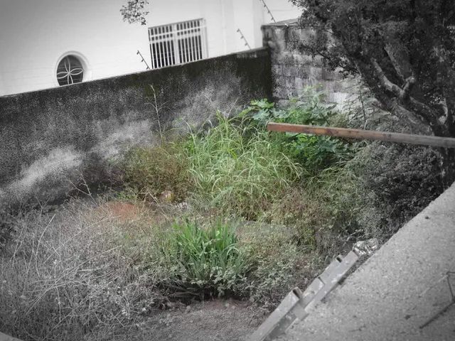 Grajaú - Lote / Terreno à venda na Anuar Donato - Foto 4