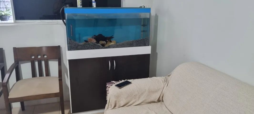 Aquario completo - Foto 2