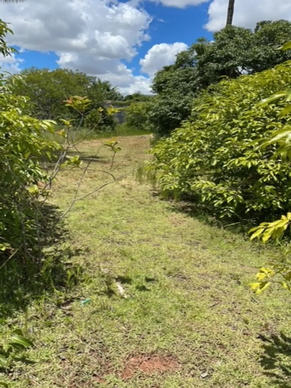 TERRENO RESIDENCIAL em BRASÍLIA - DF, PARK WAY - Foto 5