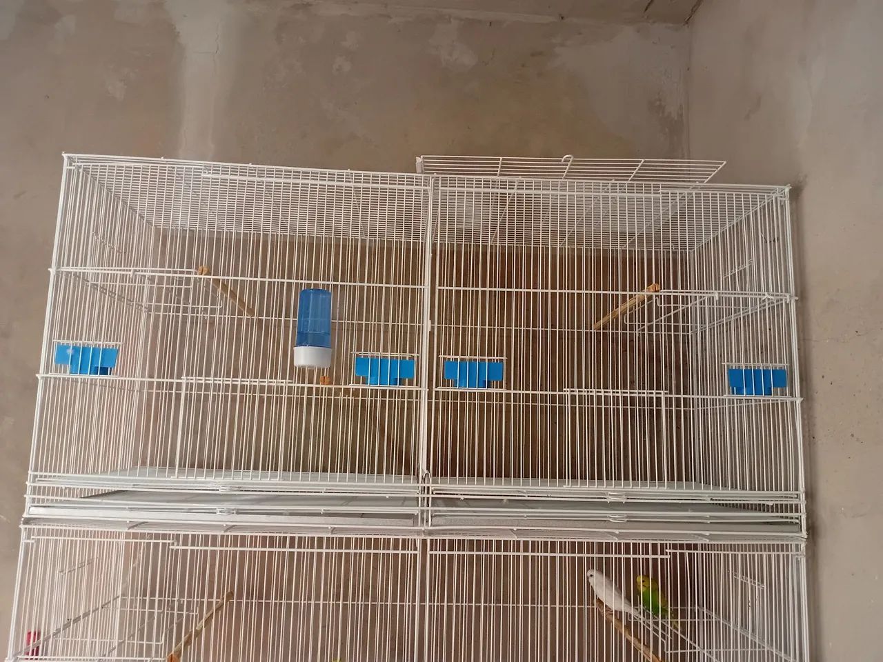 Vendo conjunto de gaiolas criadeiras (gaiopar) - Foto 2