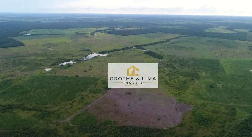 Fazenda com 4 dormitórios à venda, 276 m² por R$ 27.644.628,00 - Zona Rural - Duerê/TO - Foto 2