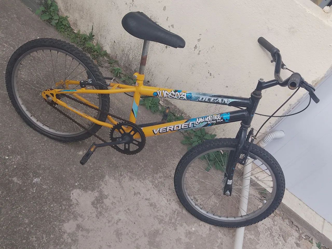 Bicicleta Verdes Verão