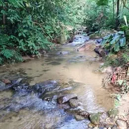 Sítio - Iguape/SP