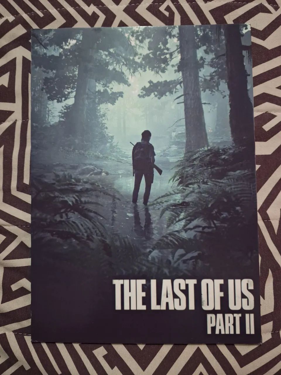 Quadro The Last of Us (modelo 3) - Foto 3