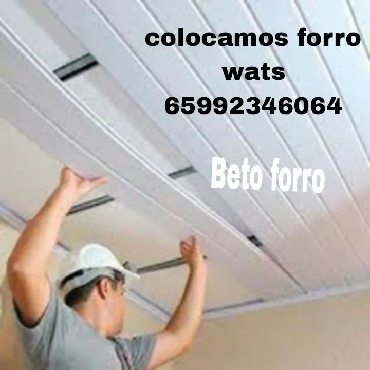 Beto forrista 