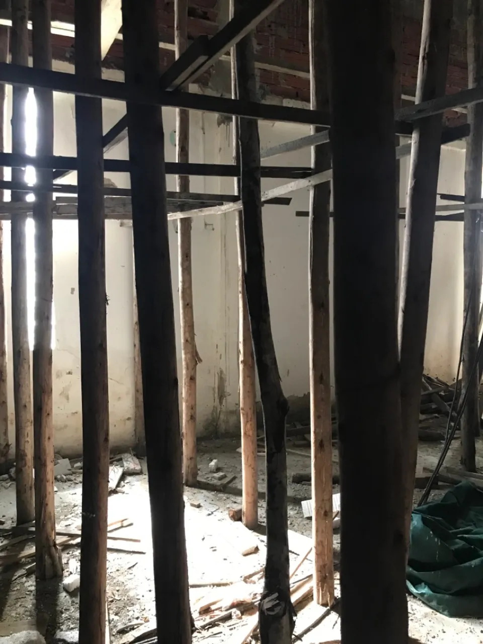 Madeiras para Construção - Estrutura e Fundação