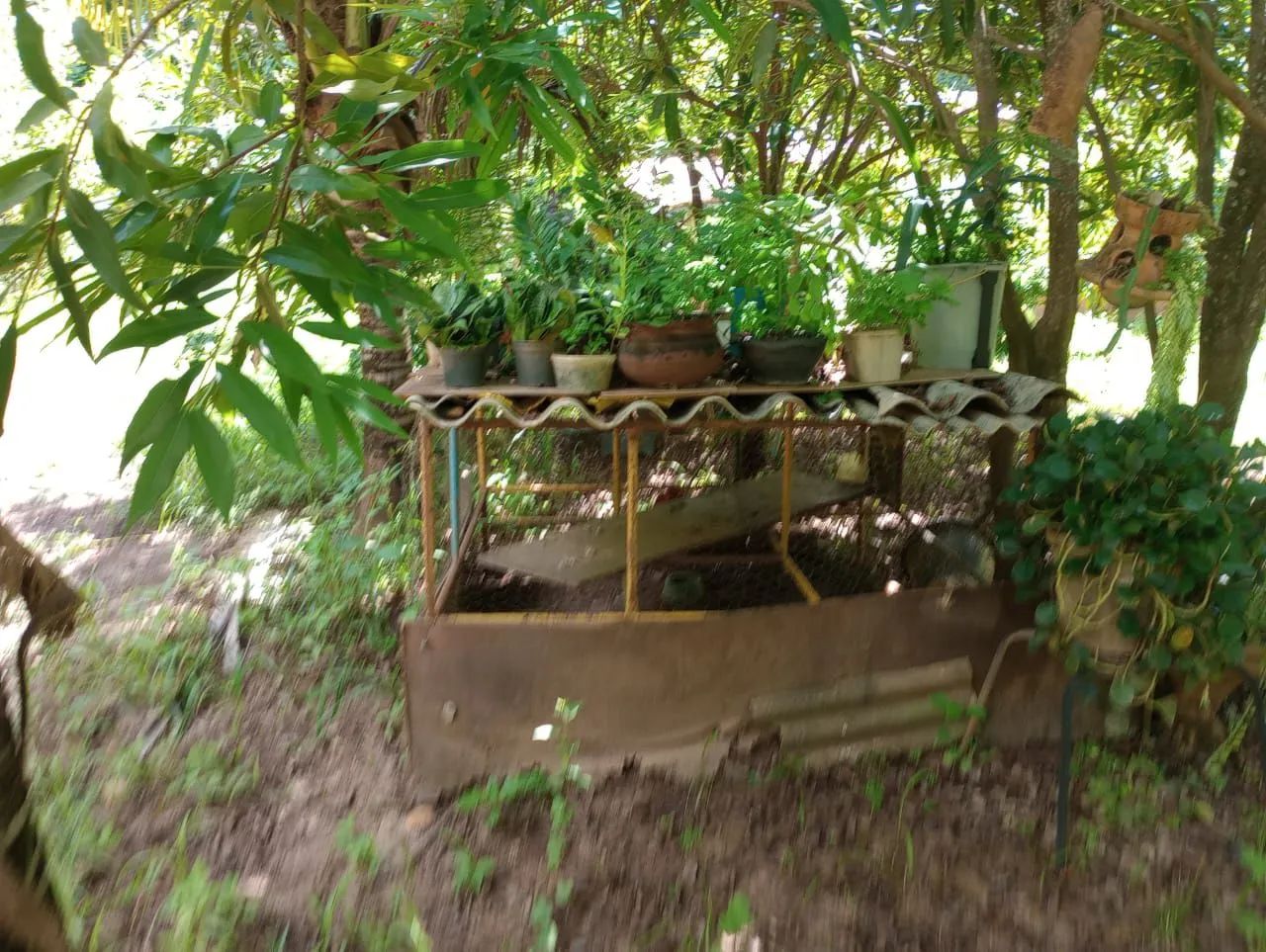 Chácara a 35 km de moc - Foto 14