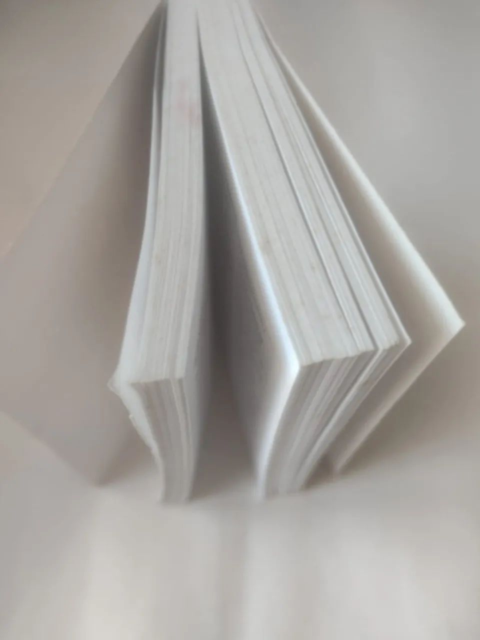 Mini Dicionário de 368 Páginas Inglês/Português & Português/Inglês - Foto 3