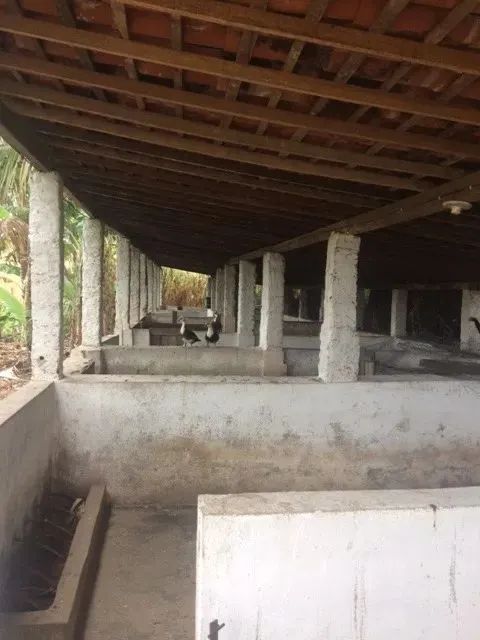 Ótimo para Empreendedorismo, Fazenda 16 hec, Rio e 2 Açudes Perene, Agrestina - Foto 11