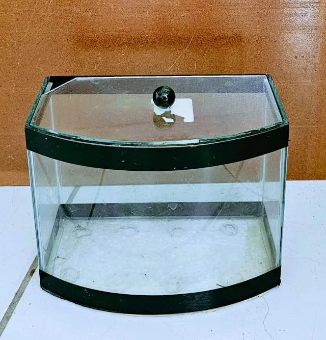 Beteira Curva Pequena Aquário Peixe Betas - 15cm x 20cm x 12cm - litros 1,4