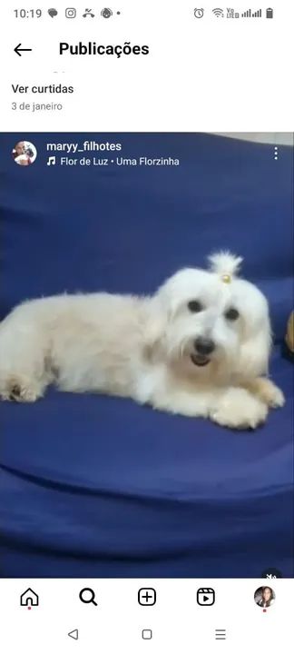 Vende se 600 - Foto 5