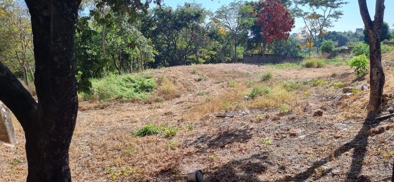 Vende-se terreno com 5000m2 no centro de Várzea Grande MT  - Foto 4