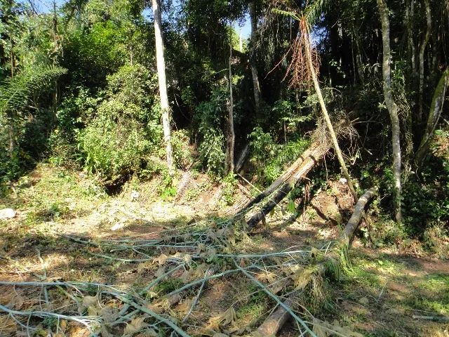 https://imoveisgirassol.com.br/produto/chacara-sem-bem-feitorias-campo-limpo-paulista-sp-e - Foto 2