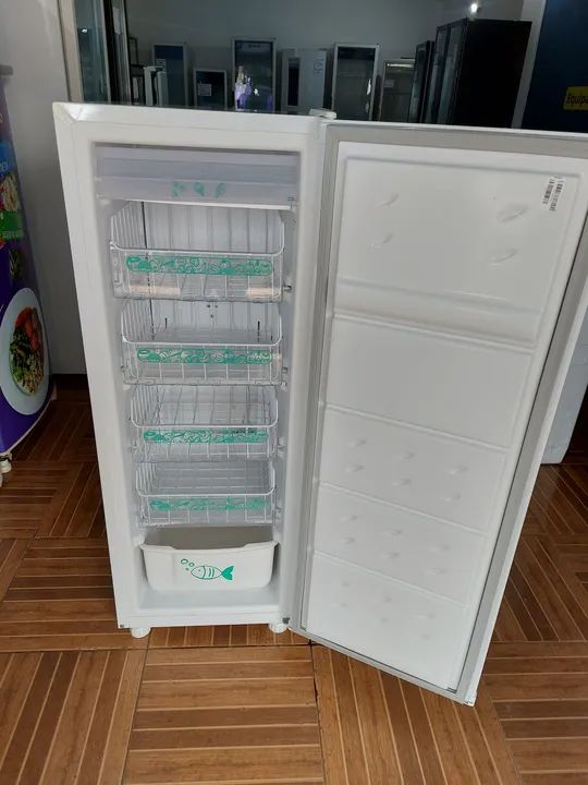 Freezer vertical consul 