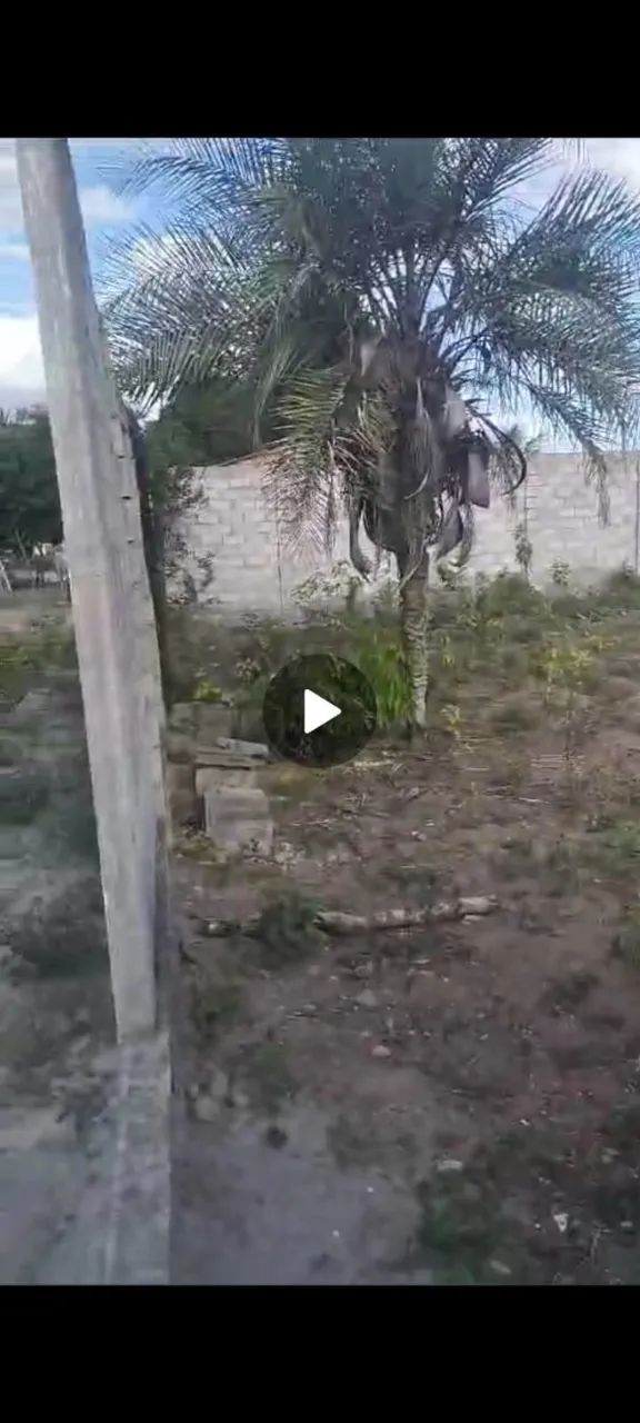 Aluguel de terreno pra comercio - Foto 2