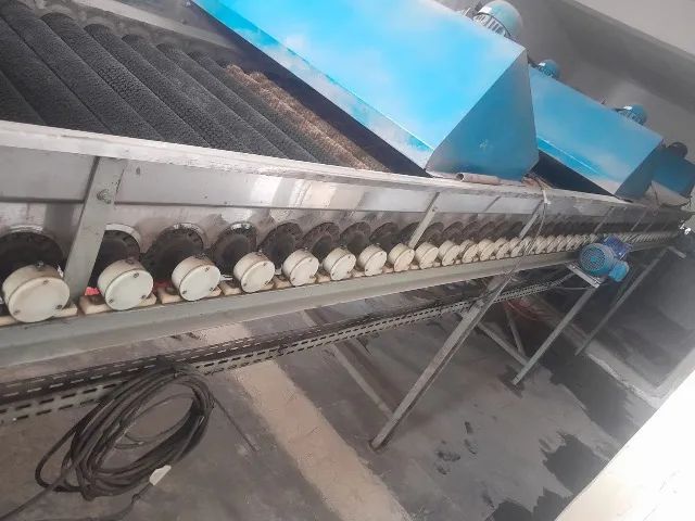 Máquina de lavar laranja  - Foto 4