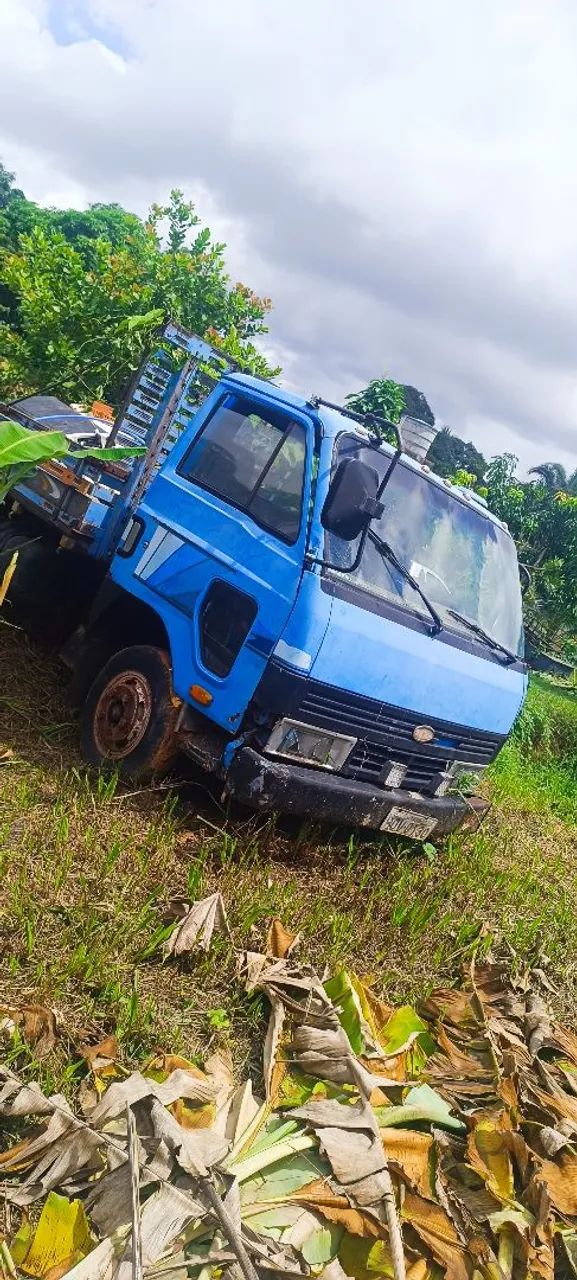 Vendo caminhão 