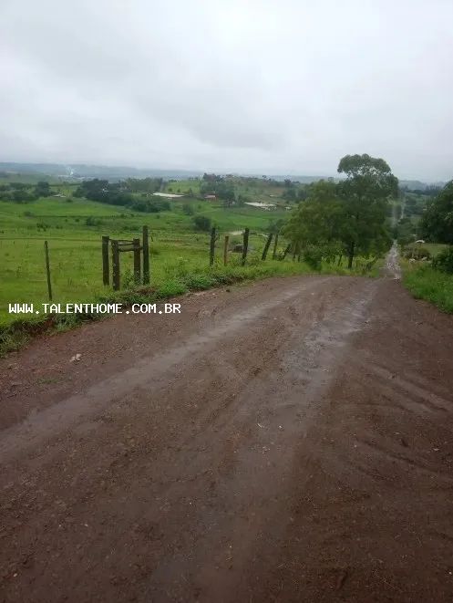 Chácara para Venda em Jataizinho - Foto 5