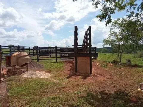 Fazenda de 42ha. em Bandeirantes - Foto 2