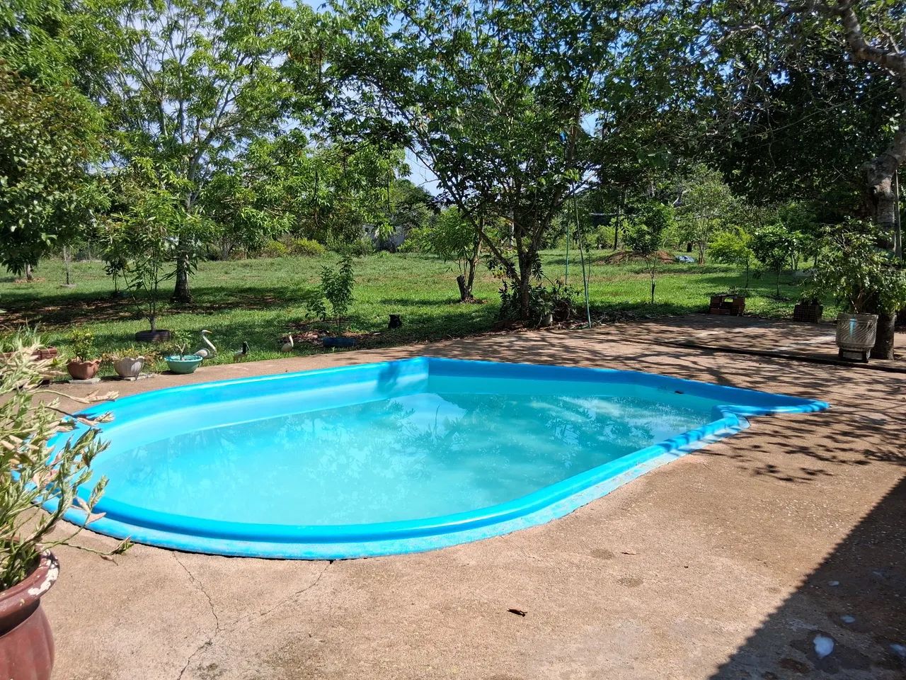 Linda chácara na viçosa  - Foto 4
