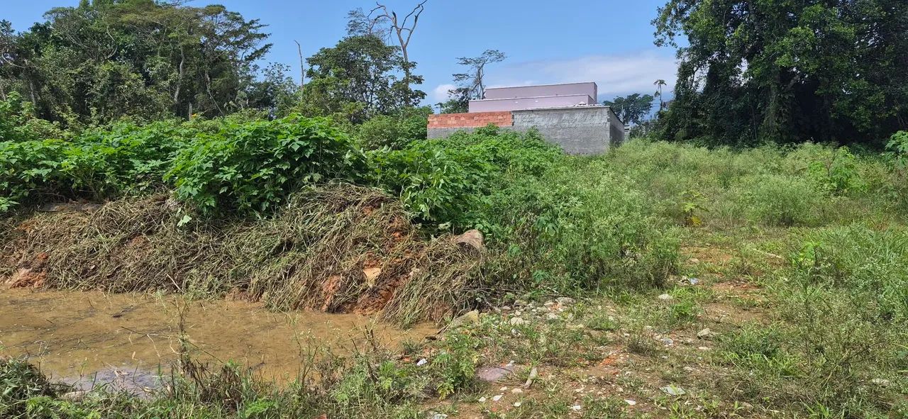 Terreno - Foto 2