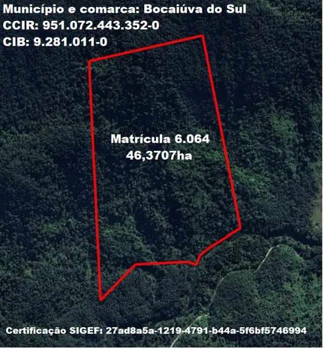 Foto - Bocaiúva do Sul - 