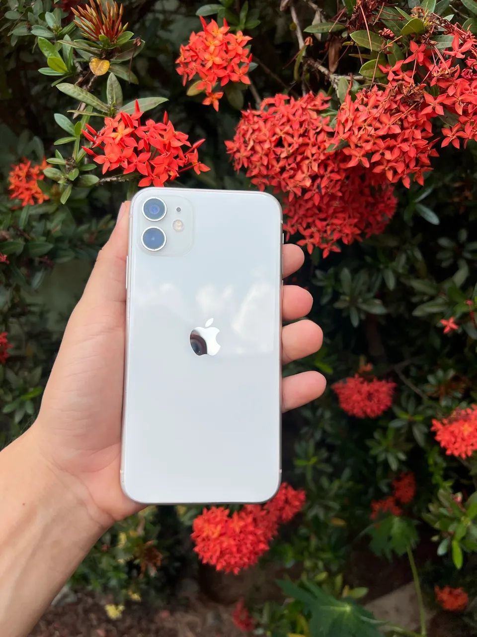Iphone 11 Branco - Foto 3