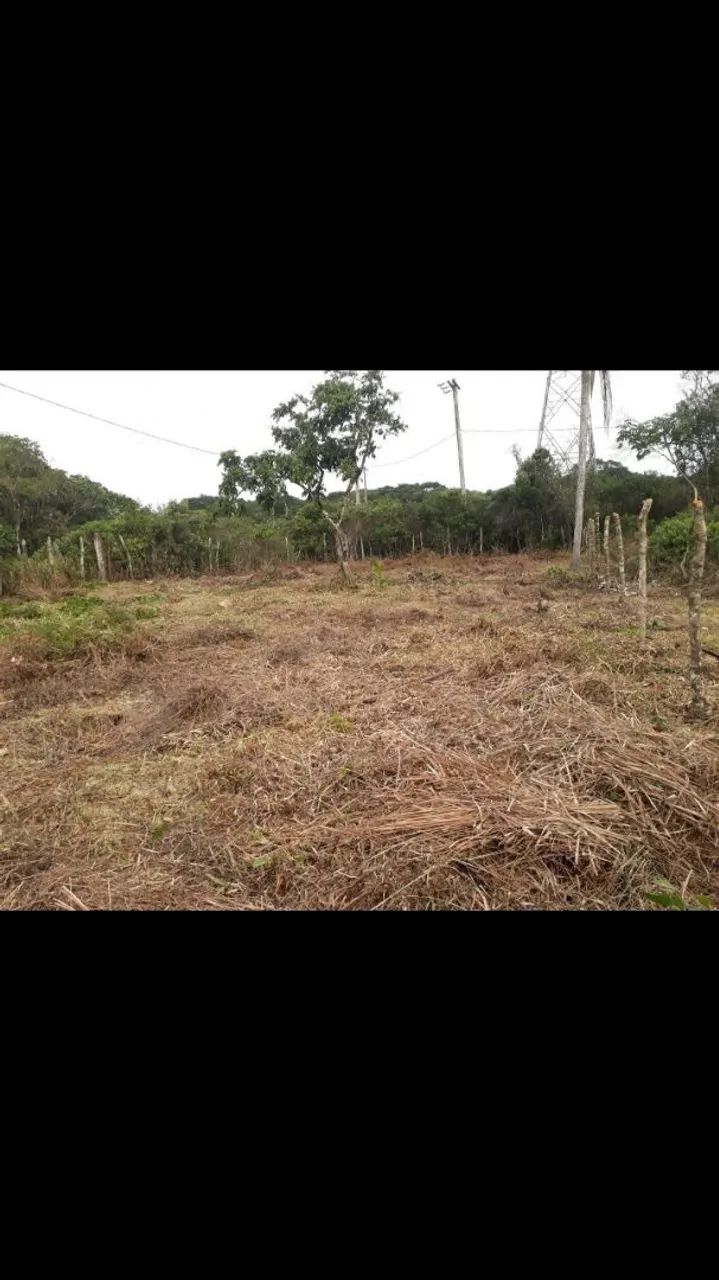 Foto - Iguape - 